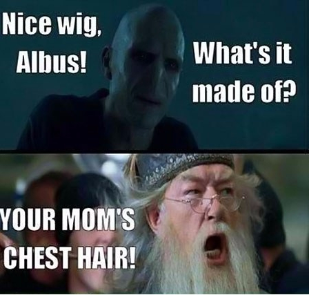 funny-Voldemort-angry-Dumbledore